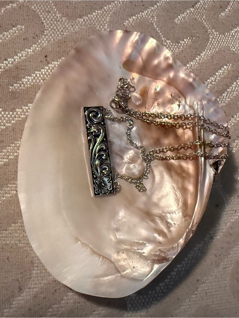 Shell jewelry tray